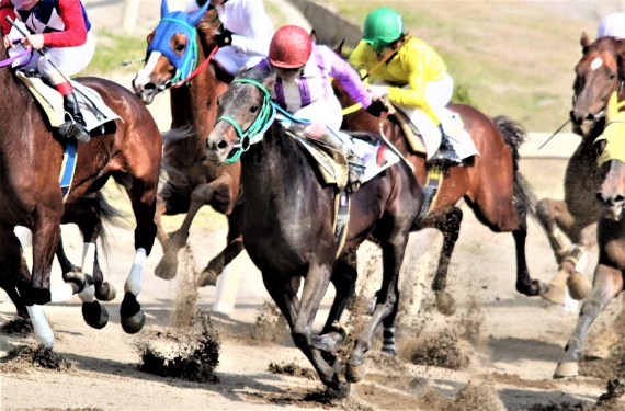 ばんえい競馬
